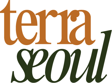 terra seoul